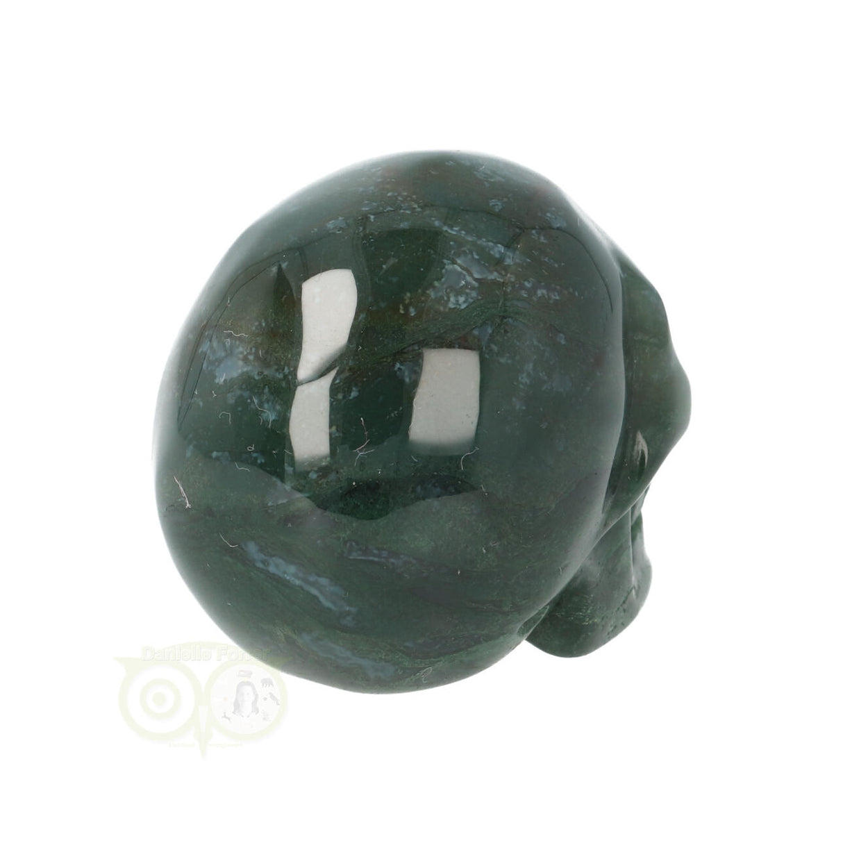 Mosagaat schedel Nr 19