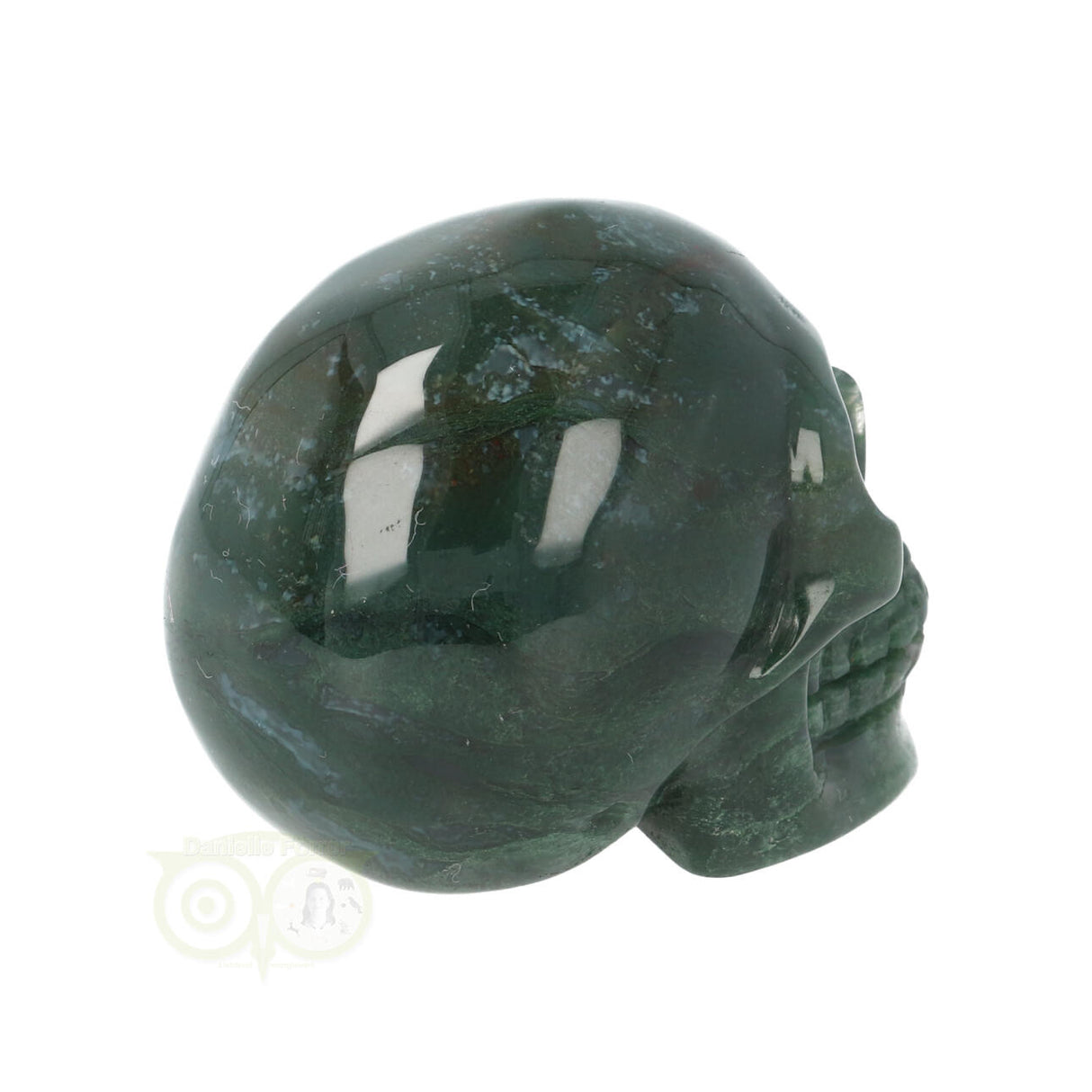 Mosagaat schedel Nr 19