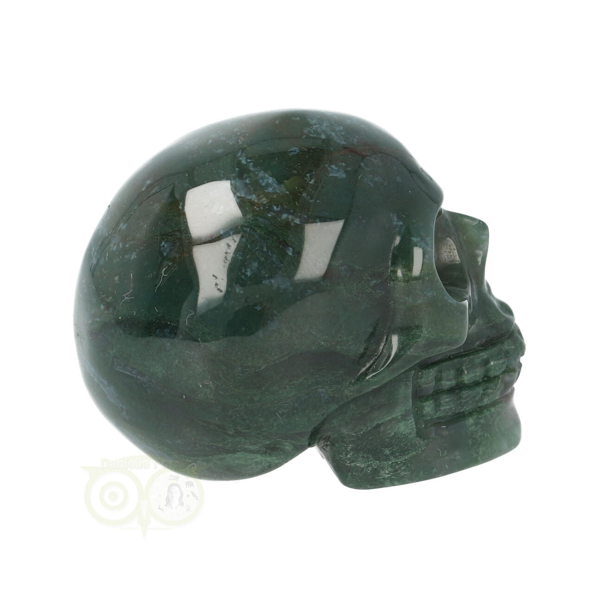 Mosagaat schedel Nr 19