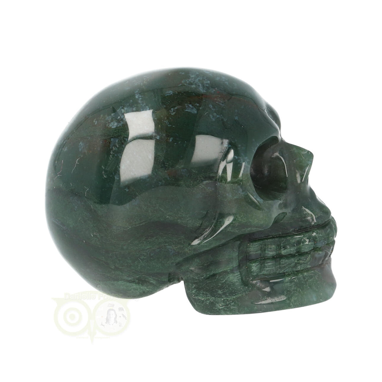 Mosagaat schedel Nr 19