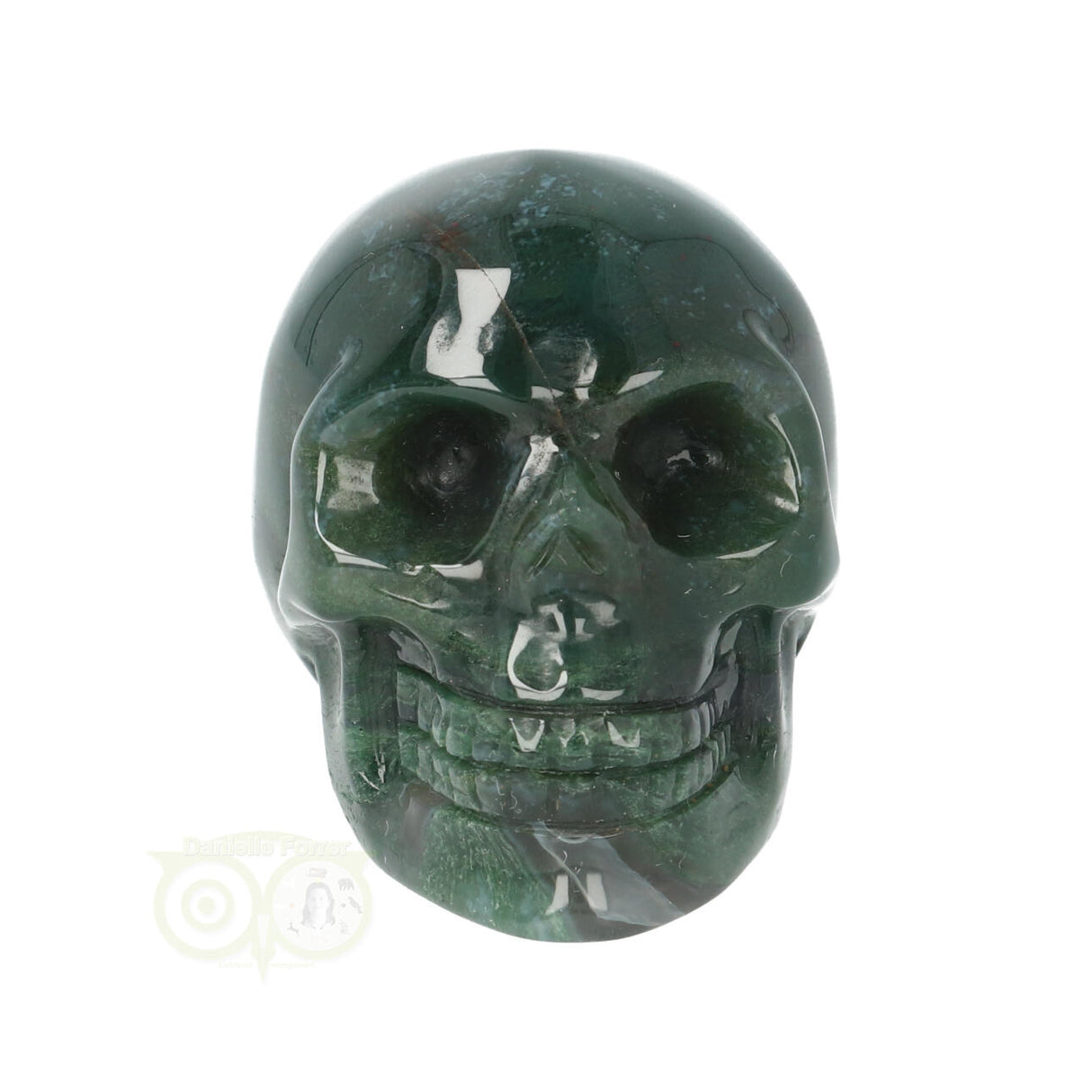 Mosagaat schedel Nr 19