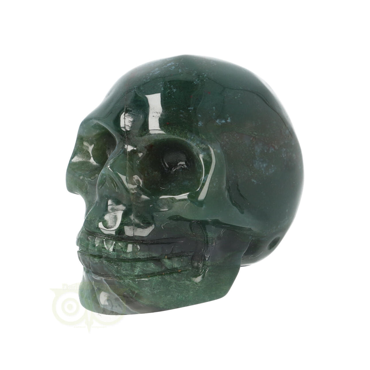Mosagaat schedel Nr 19