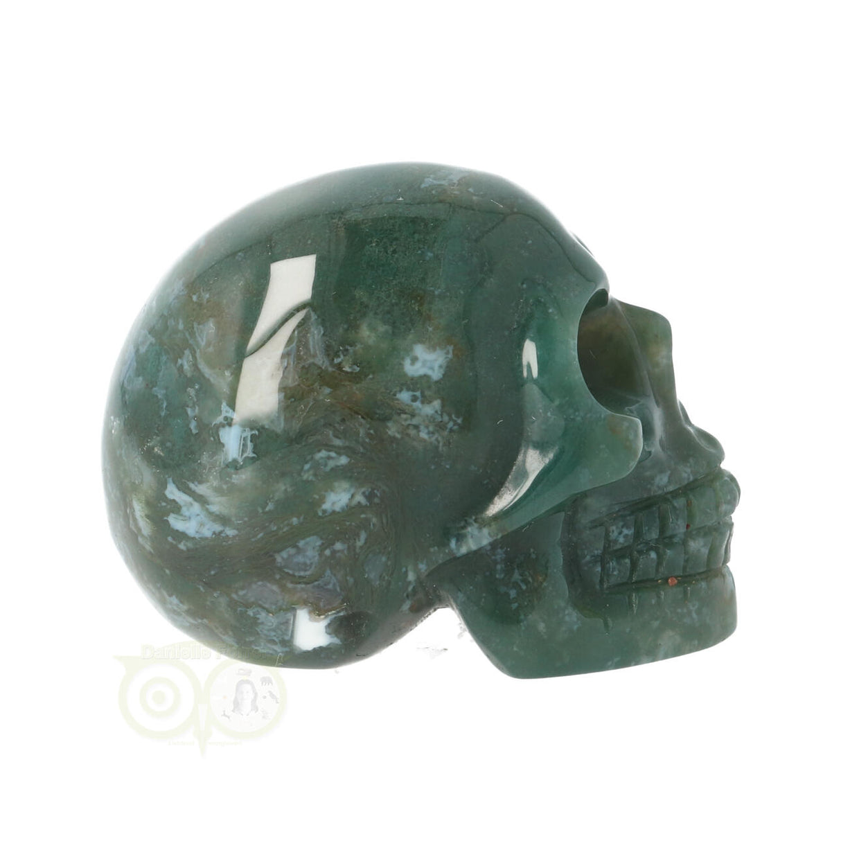 Mosagaat schedel Nr 21