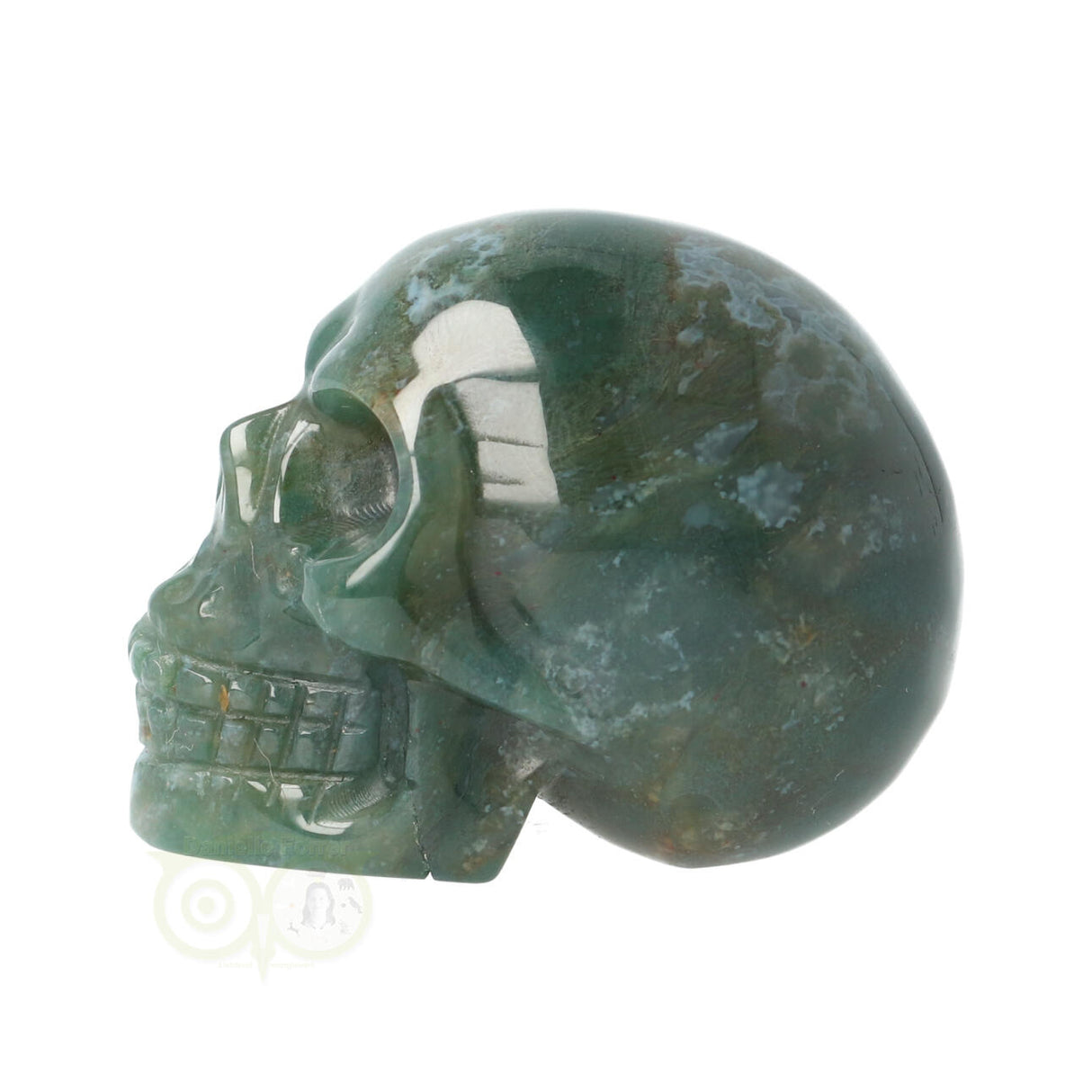 Mosagaat schedel Nr 21
