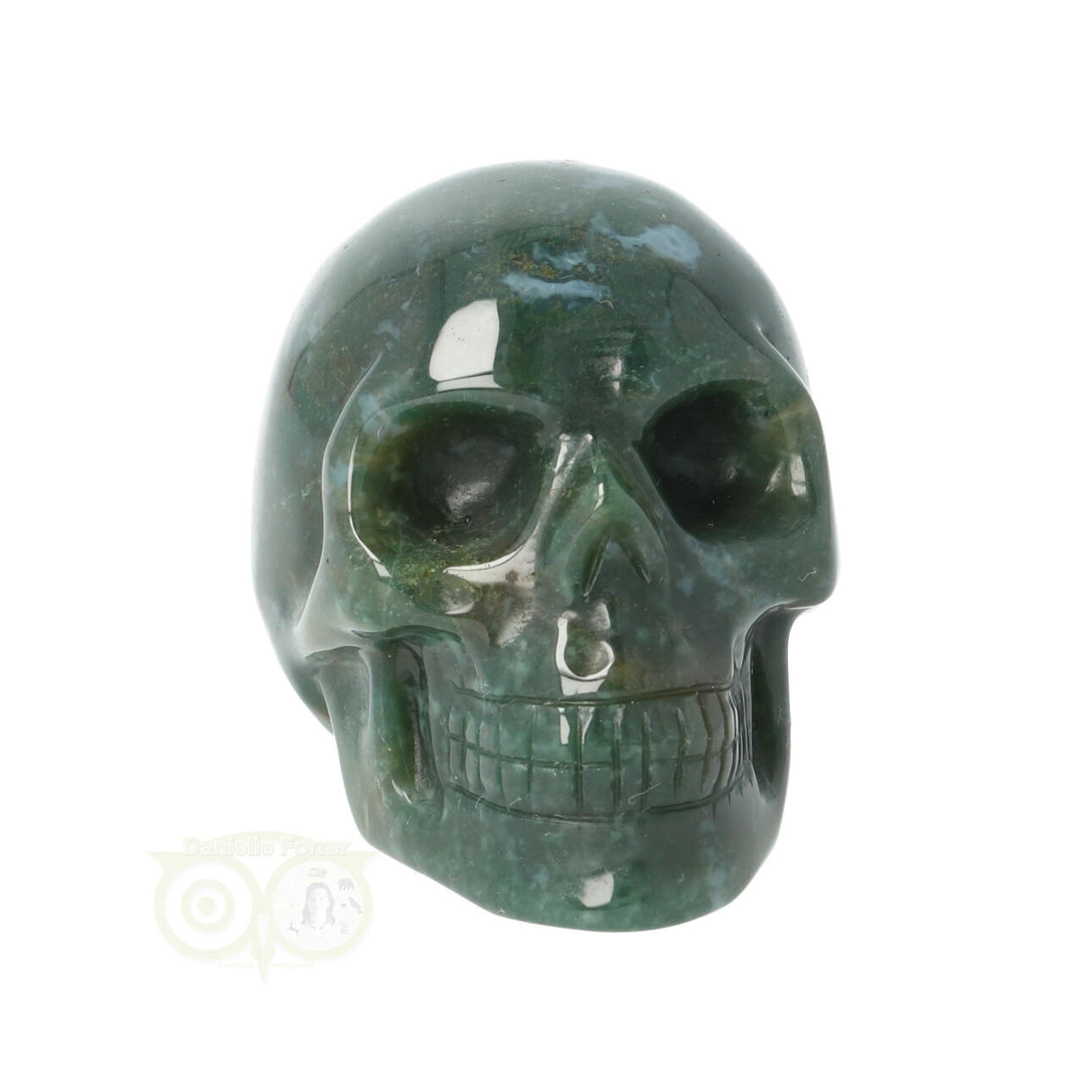 Mosagaat schedel Nr 25