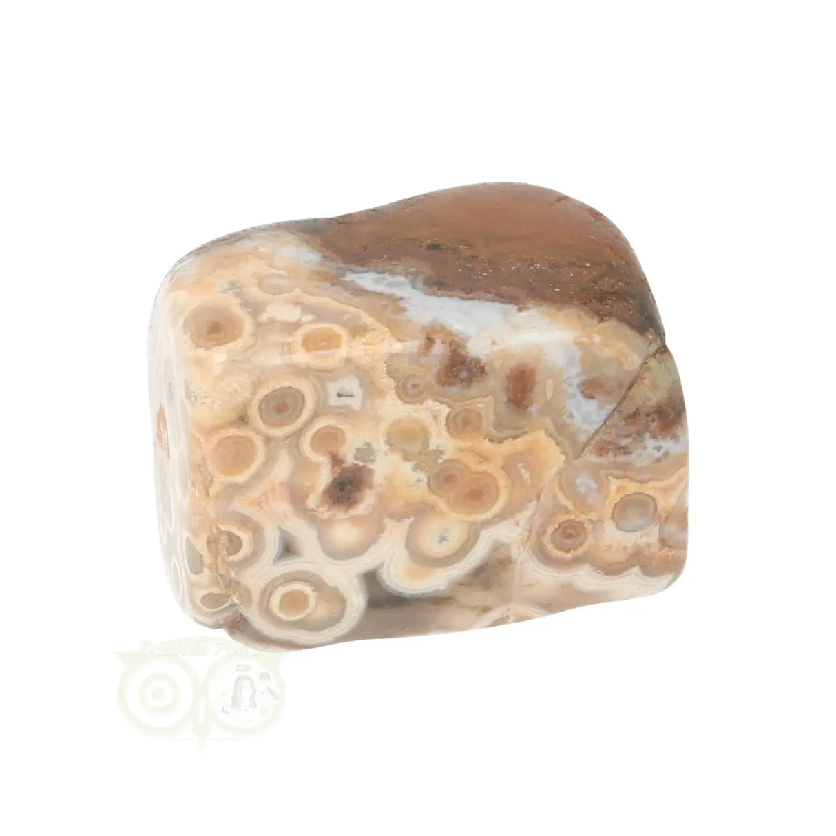 Ocean Jasper tumbled stone No. 40
