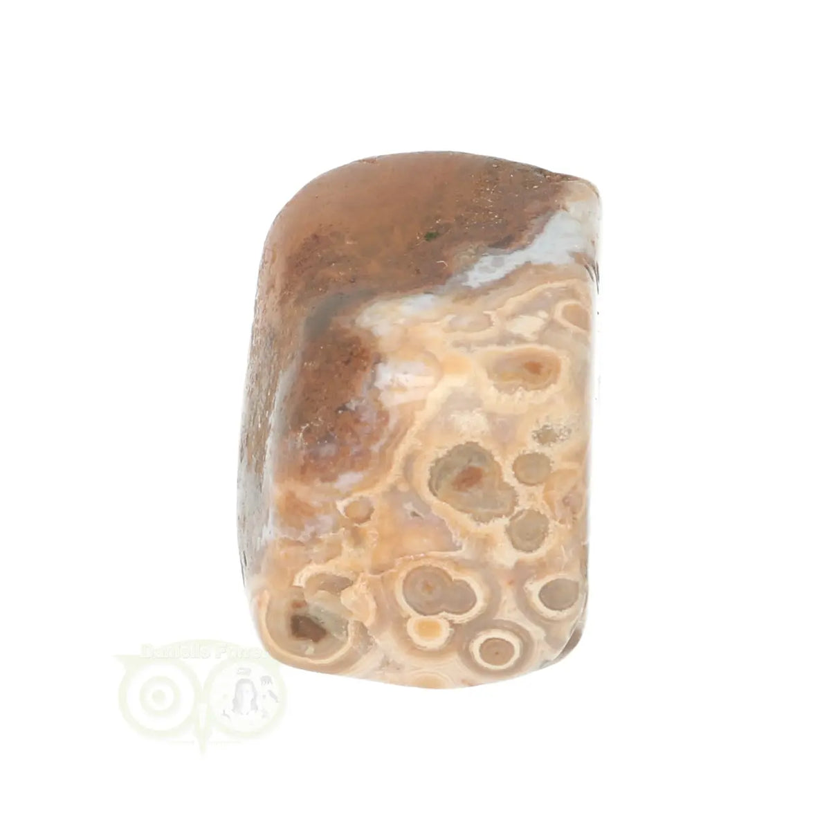 Ocean Jasper tumbled stone No. 40