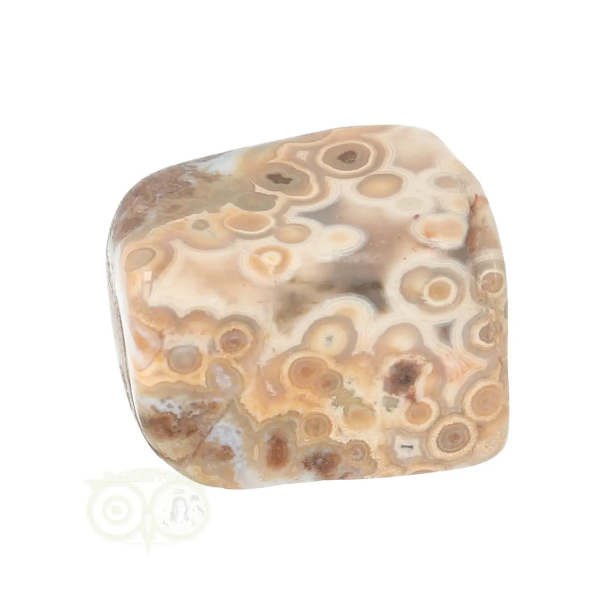 Ocean Jasper tumbled stone No. 40