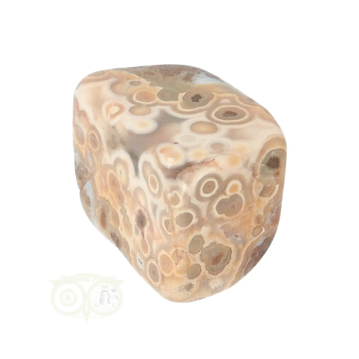 Ocean Jasper tumbled stone No. 40