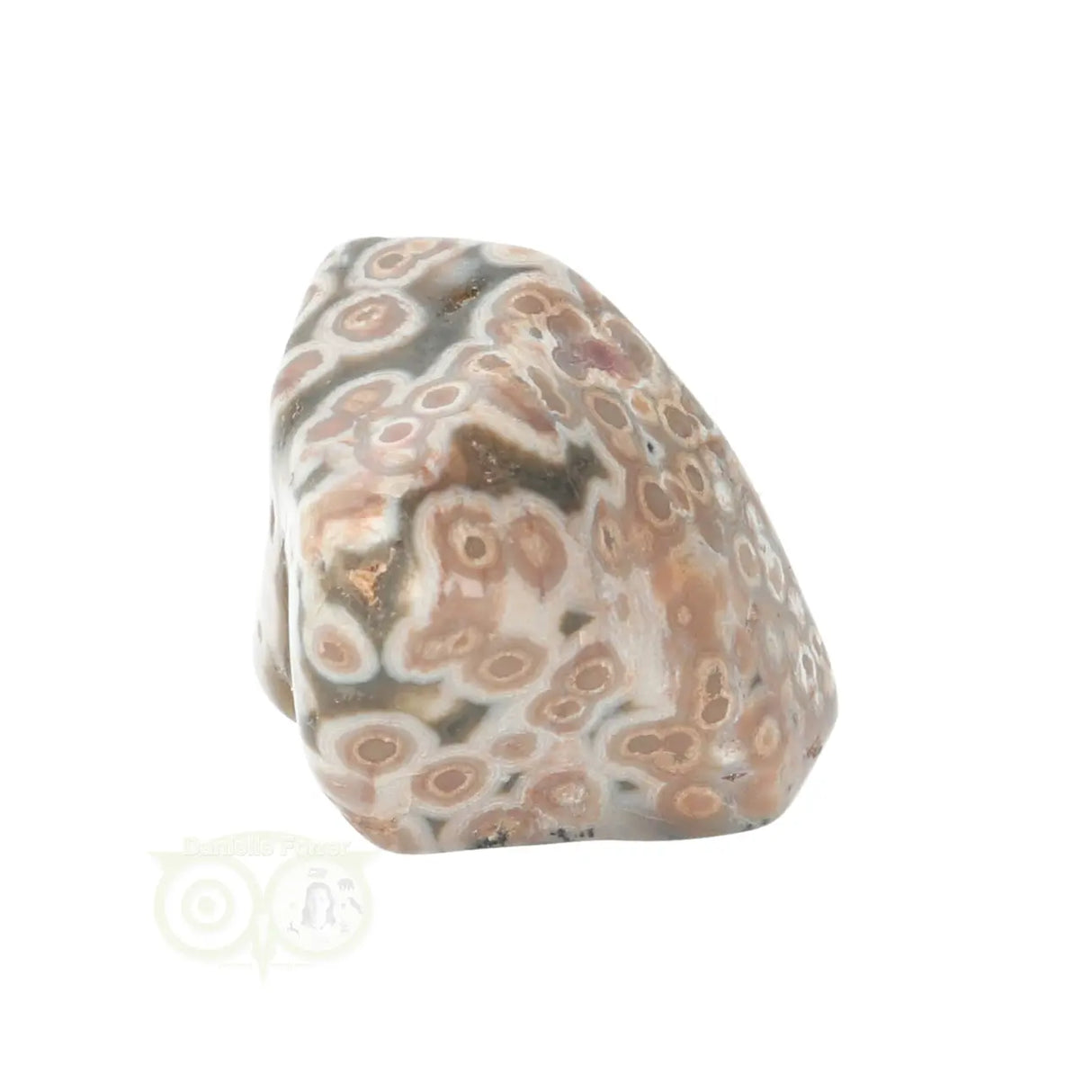 Ocean Jasper tumbled stone No. 41