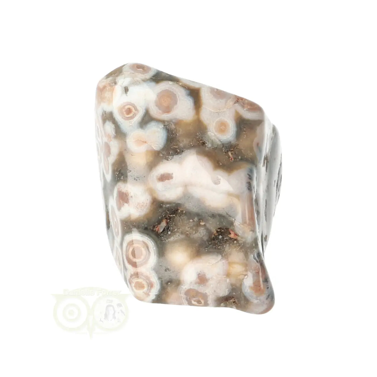 Ocean Jasper tumbled stone No. 41
