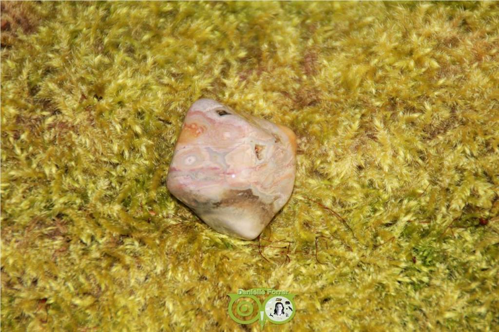 Ocean Eyes Jasper OOJ-RM-10-23