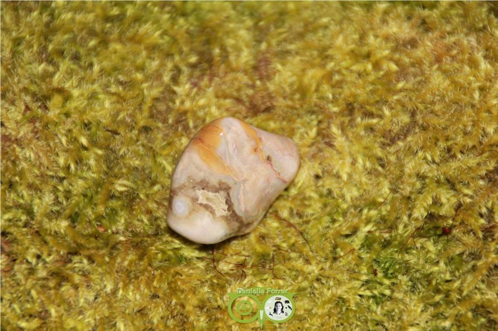 Ocean Eyes Jasper OOJ-RM-10-23