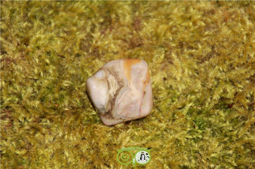 Ocean Eyes Jasper OOJ-RM-10-23