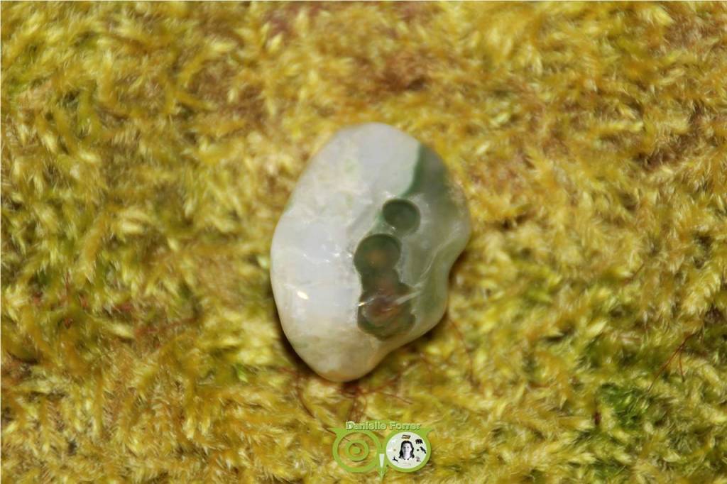 Oceaan Oogjes Jaspis OOJ-RM-14-14