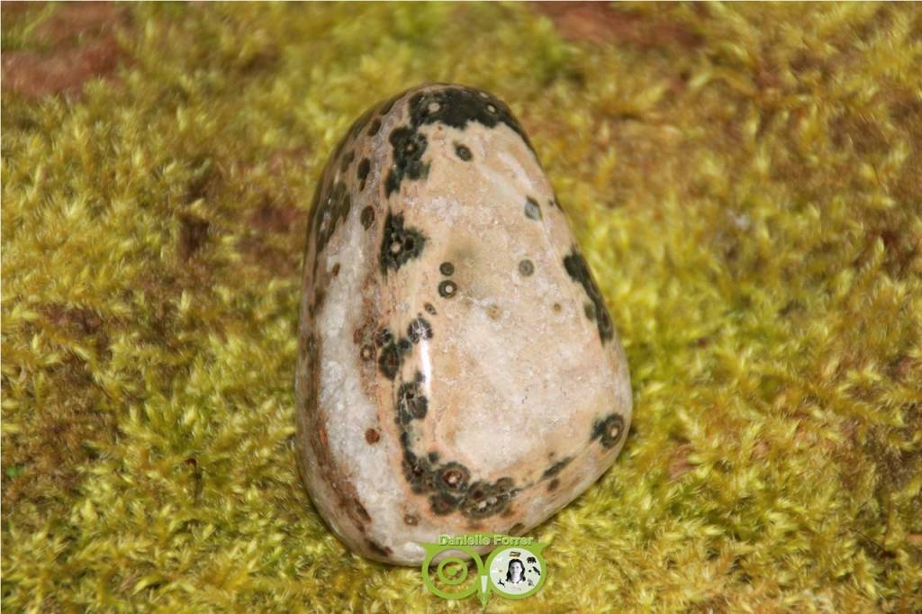 Ocean Eyes Jasper OOJ-RM-4-109