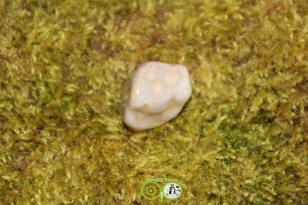 Ocean Eyes Jasper OOJ-RM-5-18