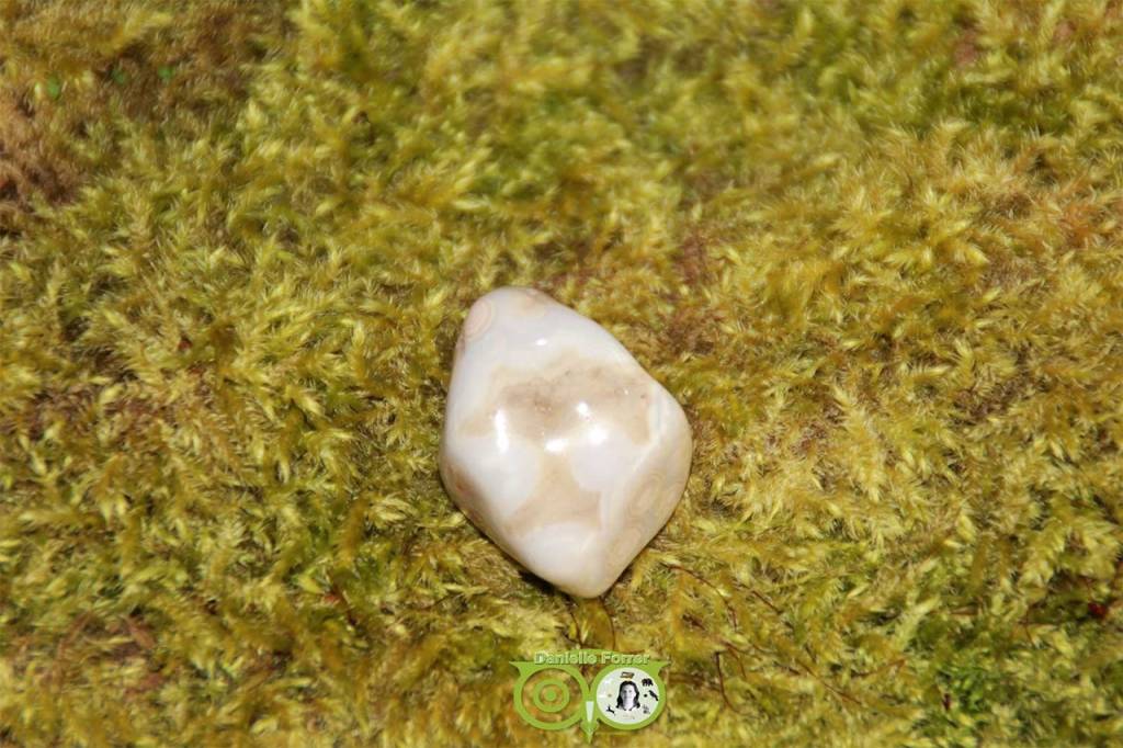 Ocean Eyes Jasper OOJ-RM-5-18