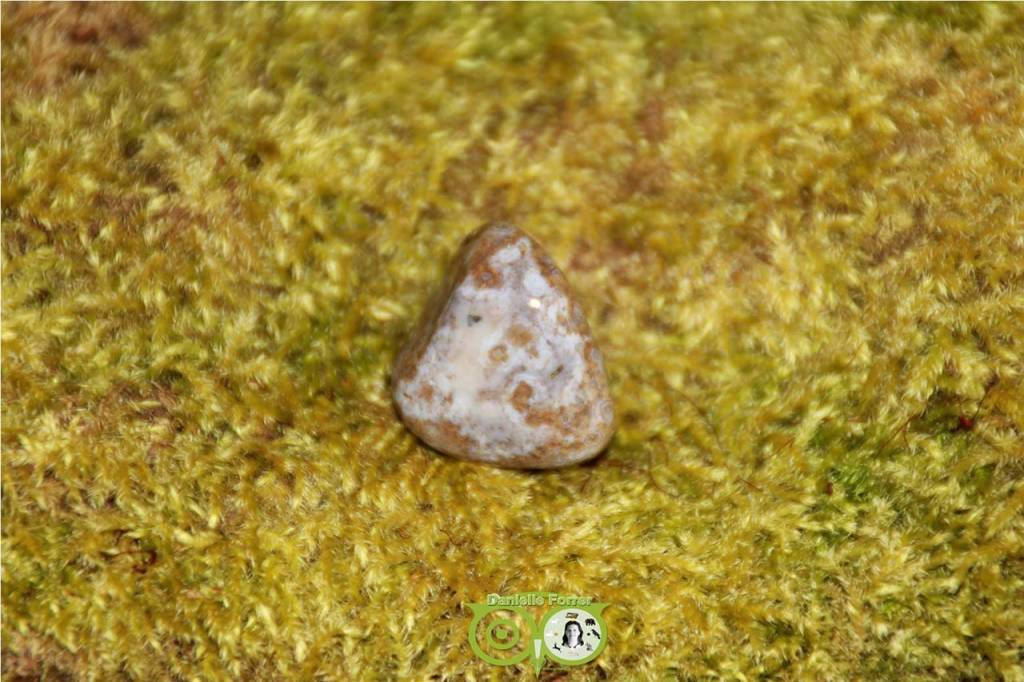 Ocean Eyes Jasper OOJ-RM-7-23