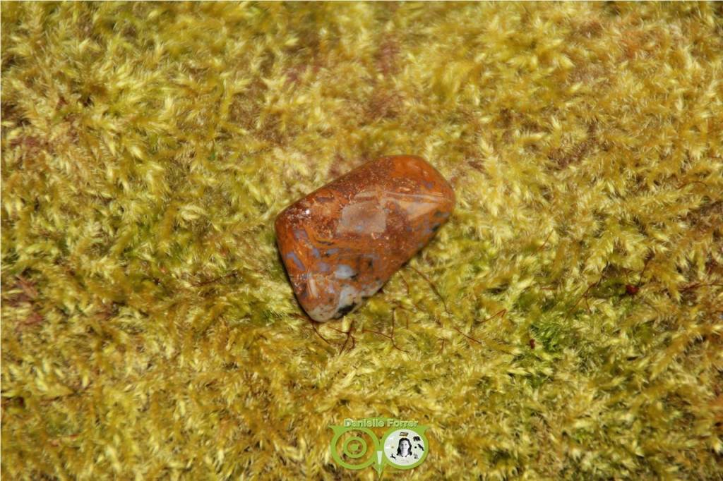 Oceaan Oogjes Jaspis OOJ-RM-8-13