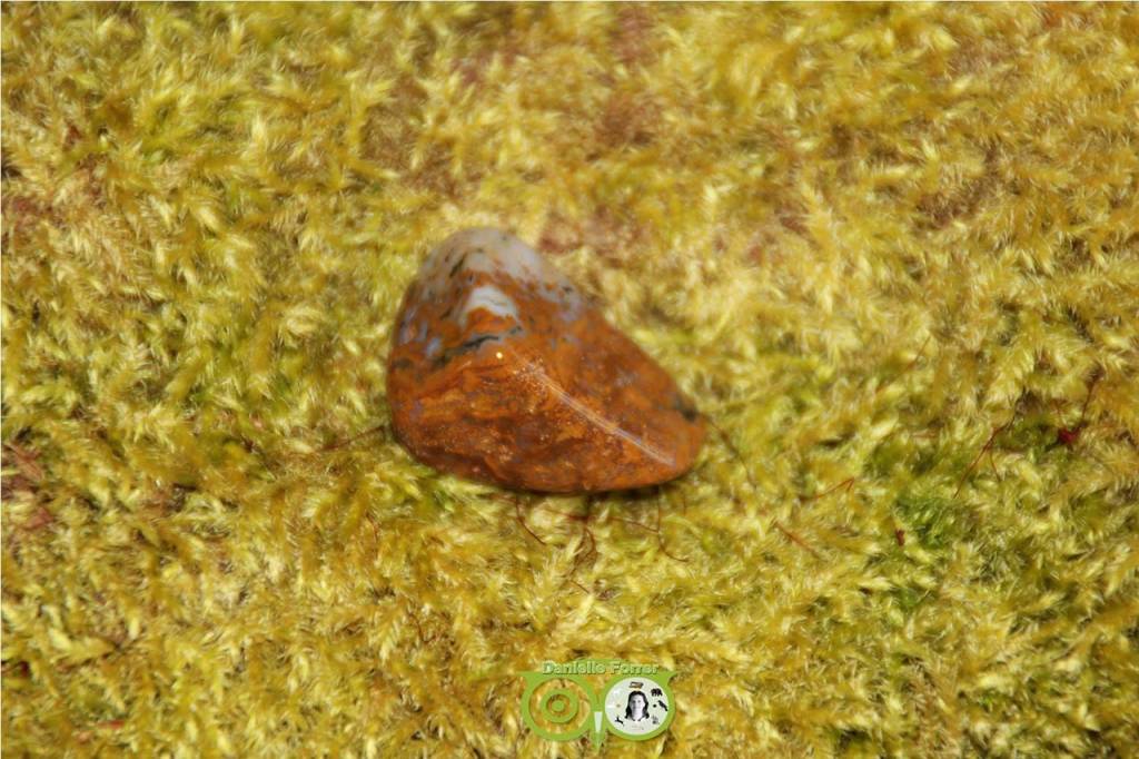 Oceaan Oogjes Jaspis OOJ-RM-8-13