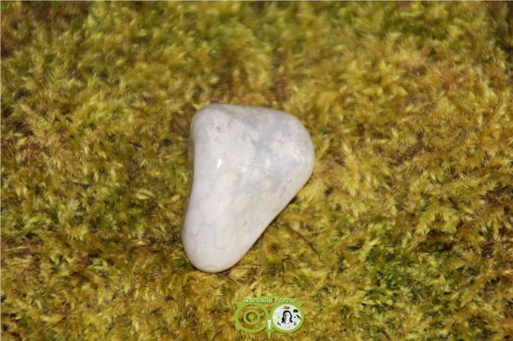 Ocean Eyes Jasper OOJ-RM-9-32