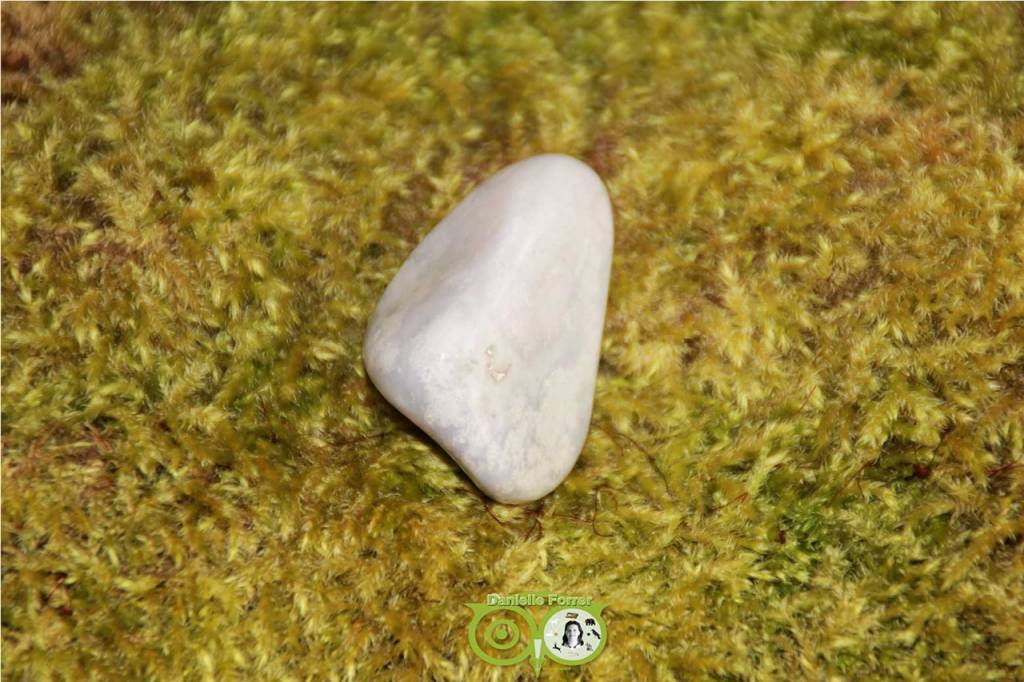 Ocean Eyes Jasper OOJ-RM-9-32