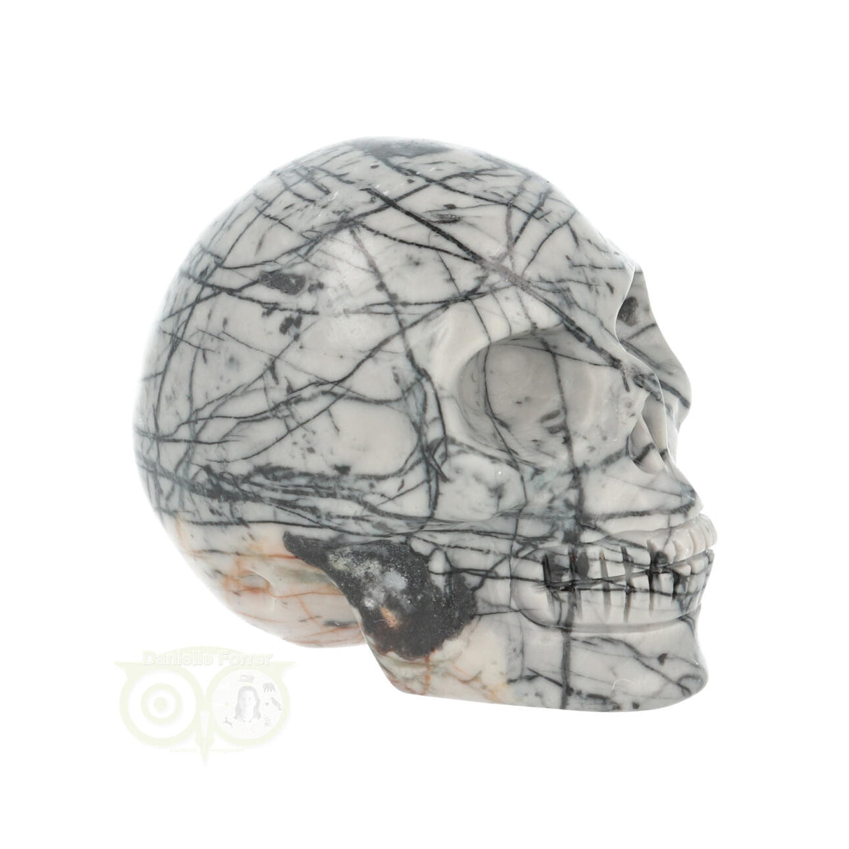 Picasso Jaspis schedel Nr 10