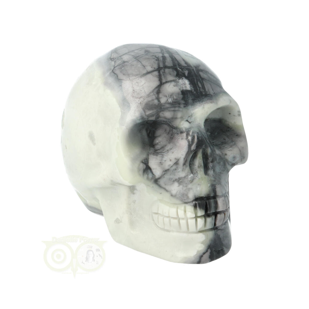 Picasso Jasper Skull No. 6