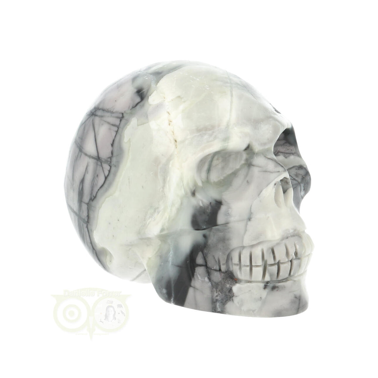 Picasso-Jaspis-Schädel Nr. 9