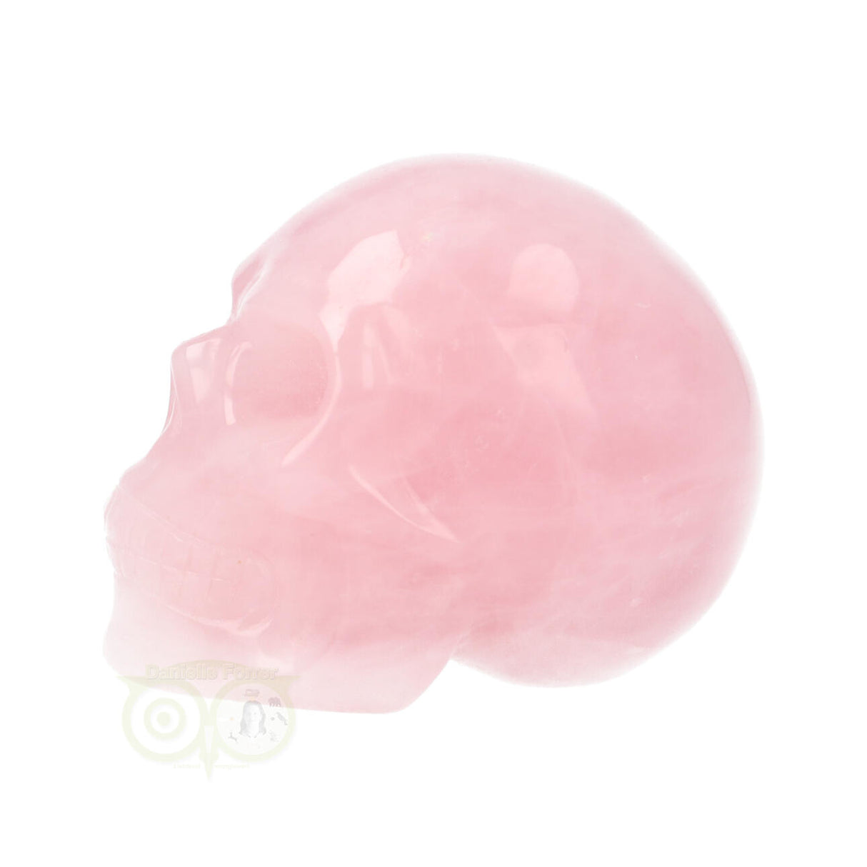 Rozenkwarts schedel Nr 22