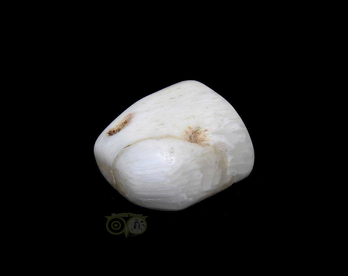 Scolesiet Knuffelsteen Nr 11