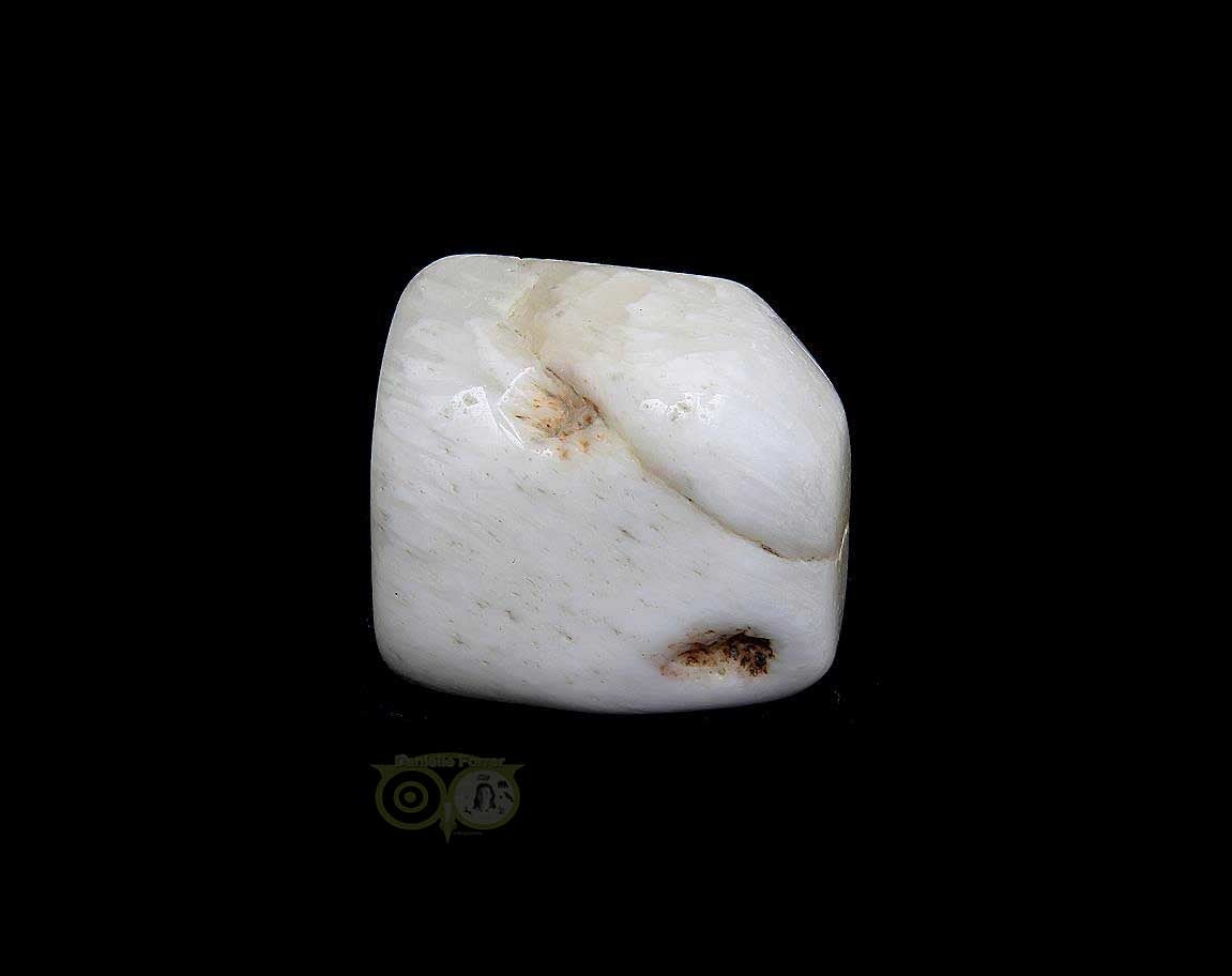 Scolesiet Knuffelsteen Nr 11