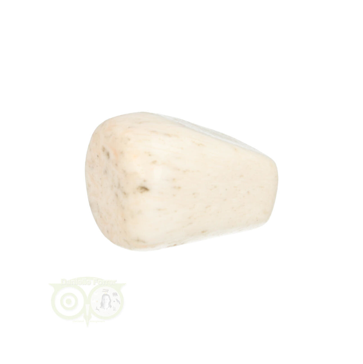 Scolesiet Knuffelsteen Nr 22