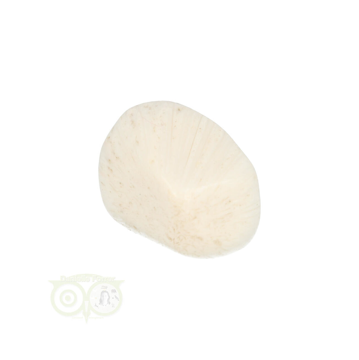 Scolesiet Knuffelsteen Nr 22