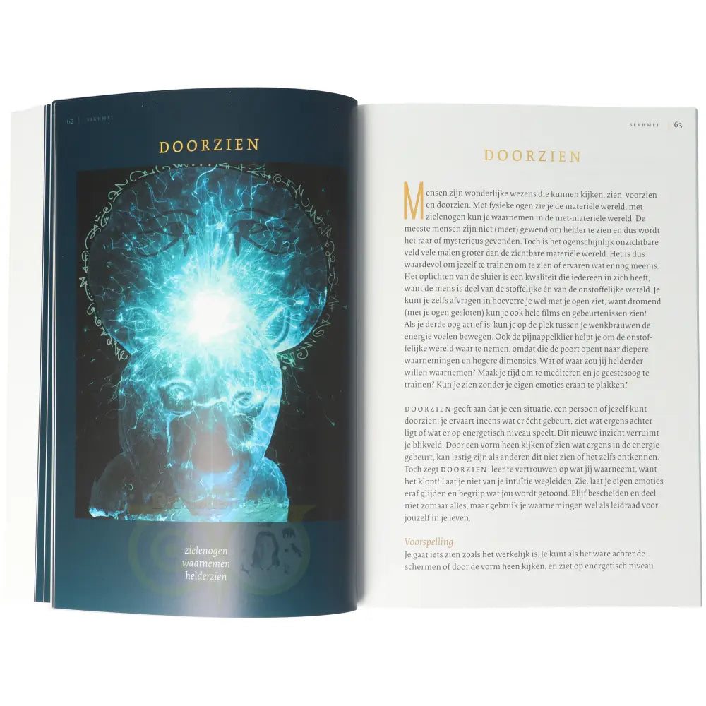 Sekhmet - feline kracht voor inzichten - Petra Stam