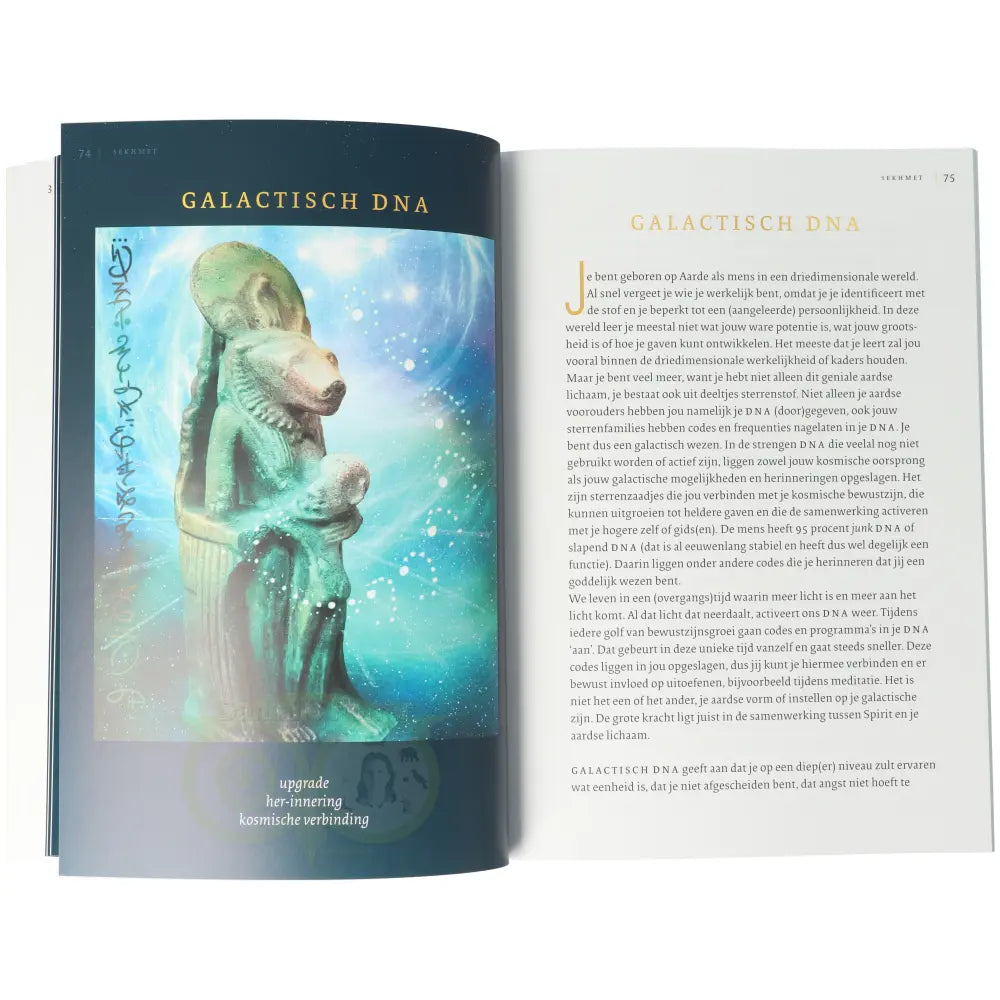 Sekhmet - feline kracht voor inzichten - Petra Stam