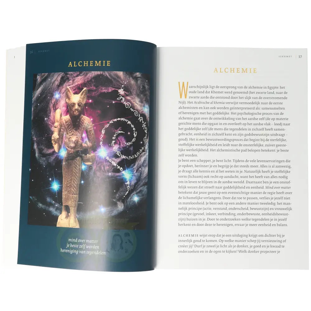 Sekhmet - feline kracht voor inzichten - Petra Stam