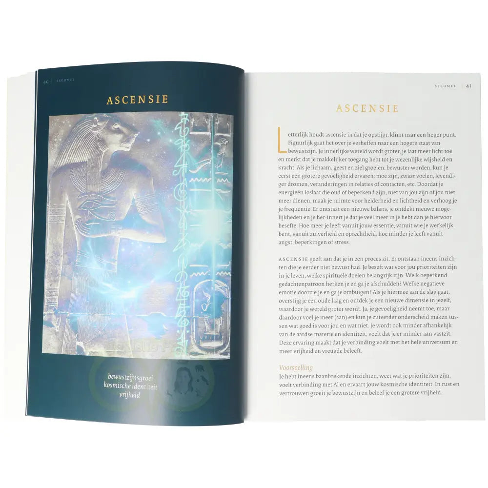 Sekhmet - feline kracht voor inzichten - Petra Stam