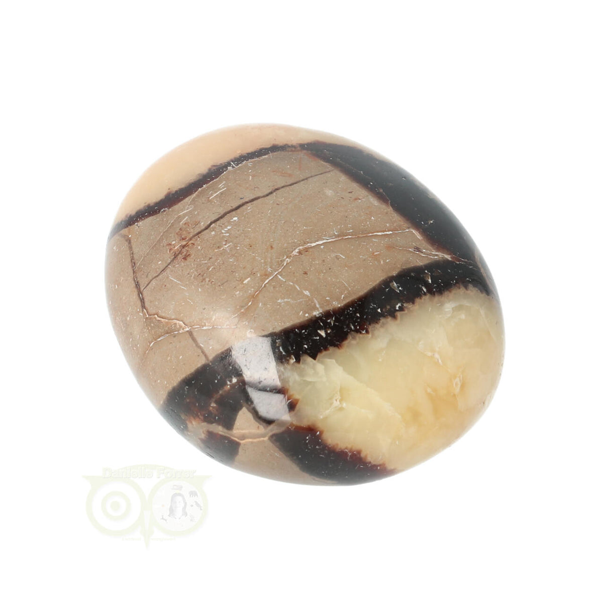 Septarie handsteen Groot nr 14