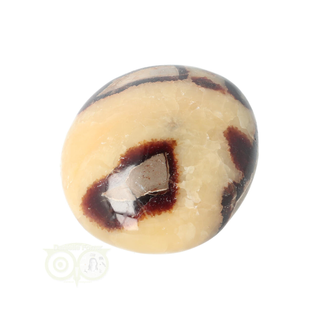 Septarie-Handstein Groß Nr. 15