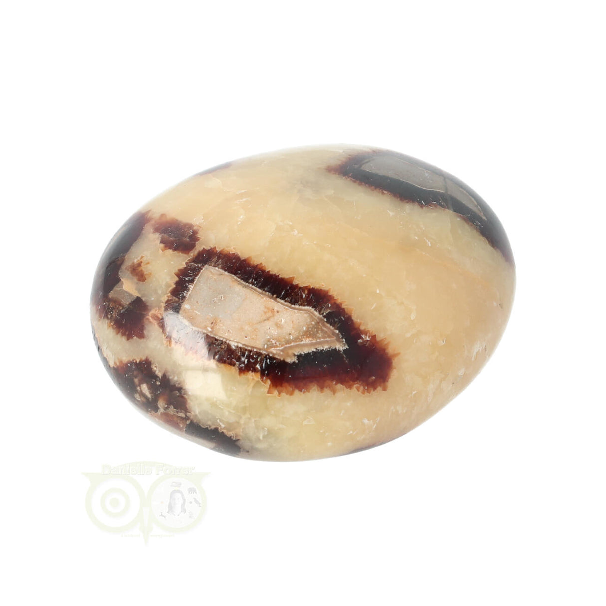 Septarie-Handstein Groß Nr. 15