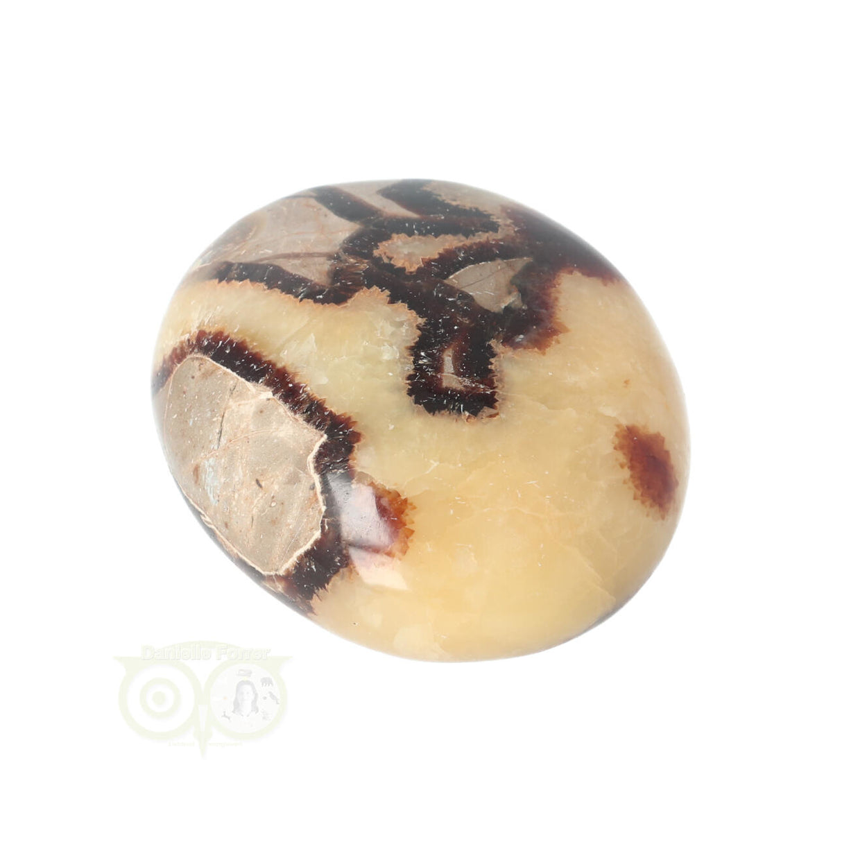 Septarie-Handstein Groß Nr. 15