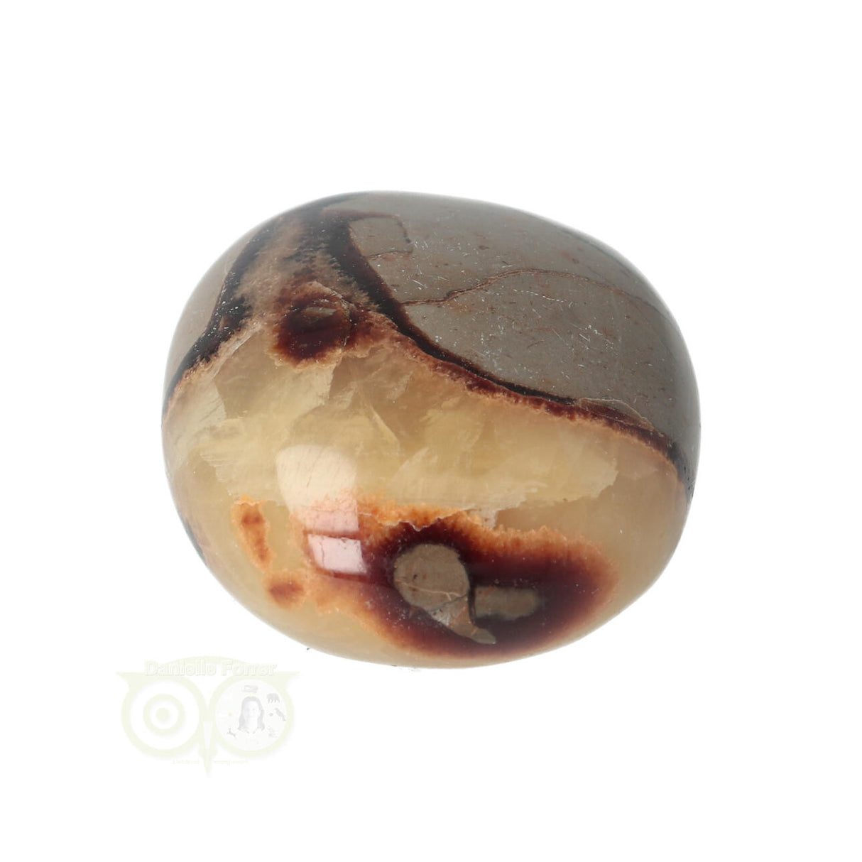 Septarie-Handstein Groß Nr. 22