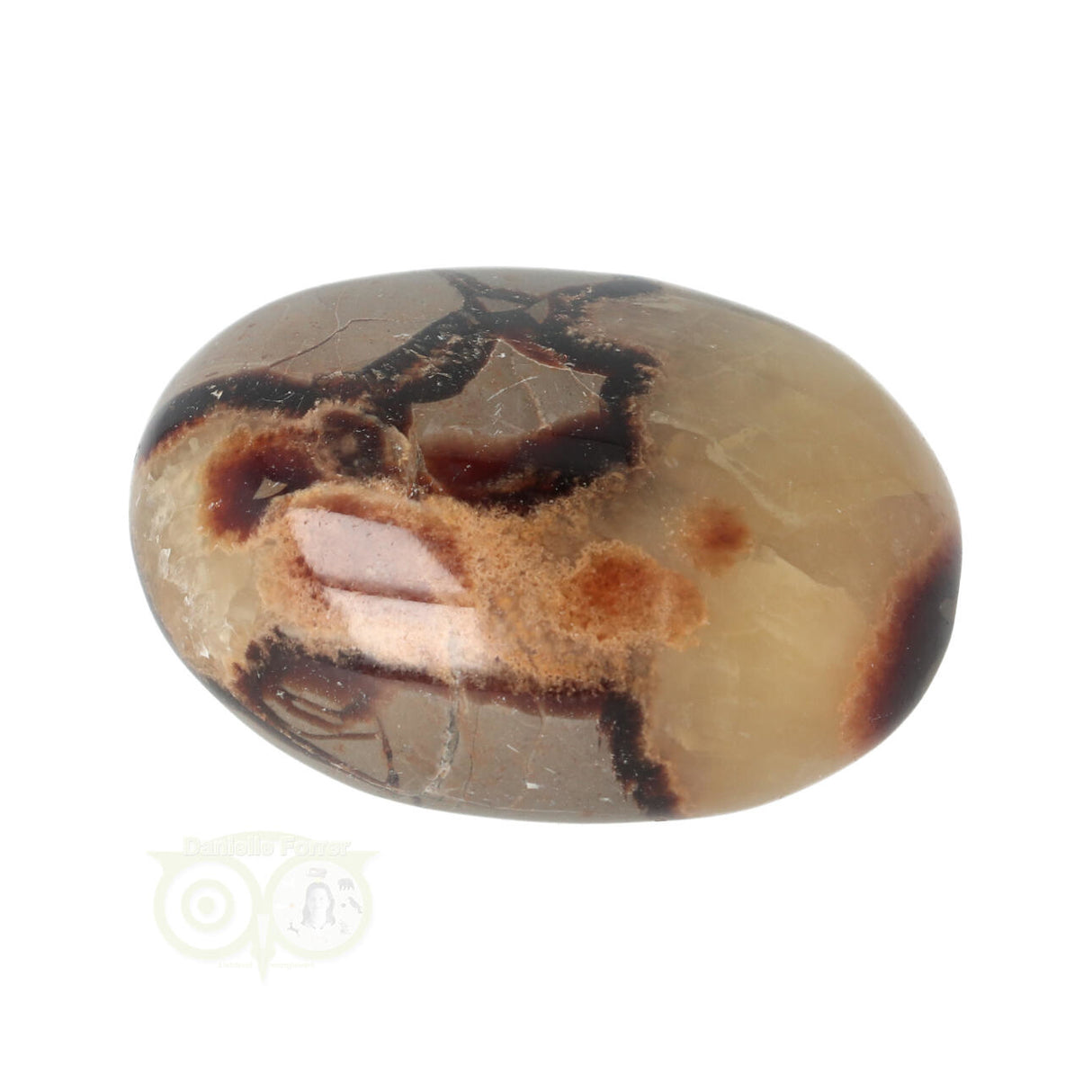 Septarie-Handstein Groß Nr. 22