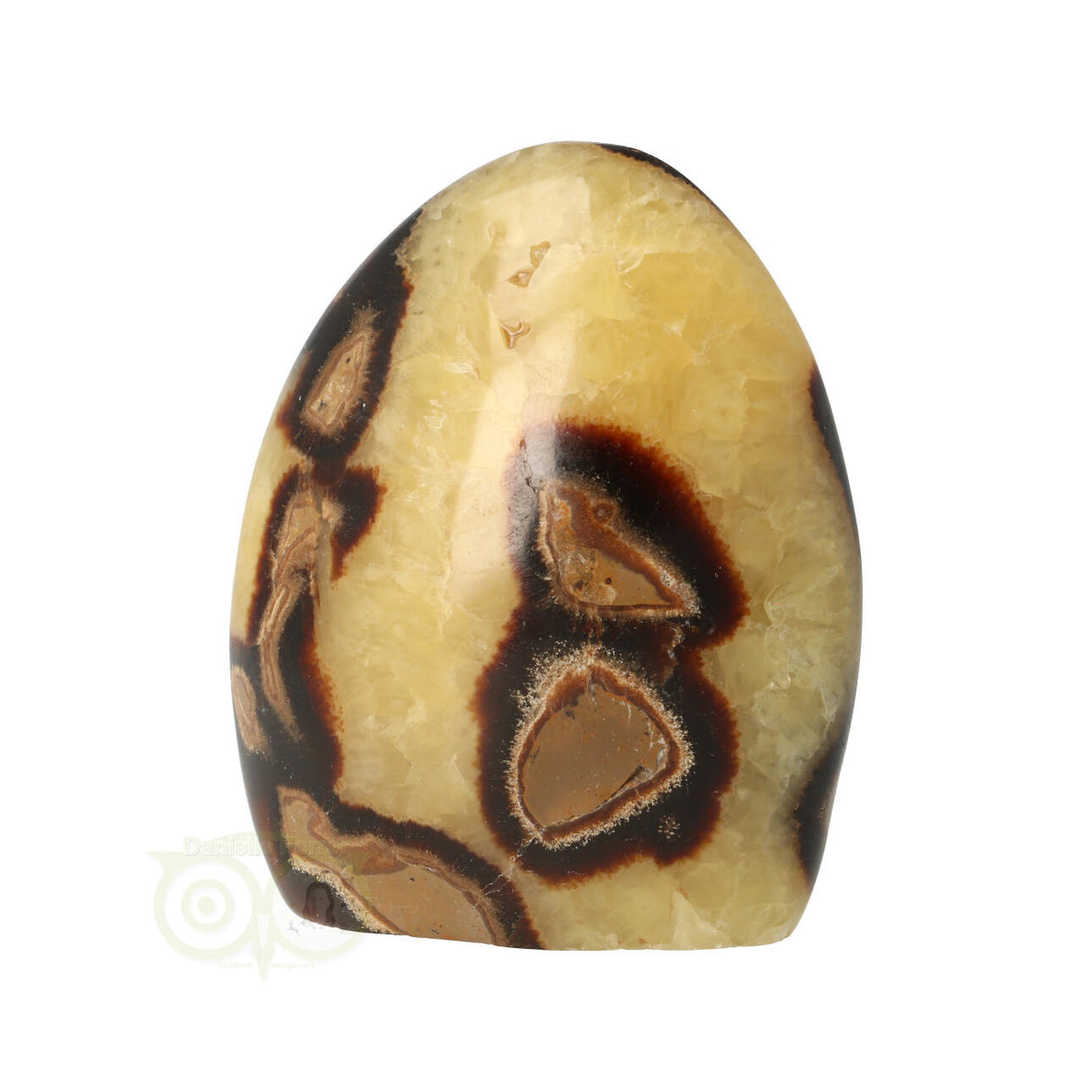 Septarie sculptuur 354 gram