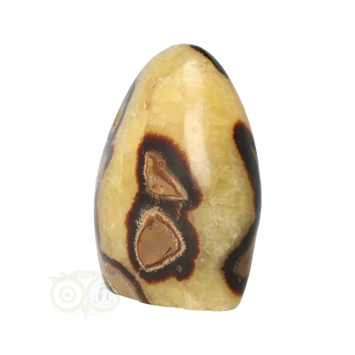 Septarie sculptuur 354 gram