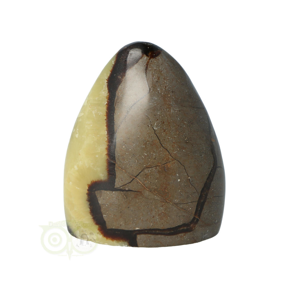 Septarie sculptuur 290 gram