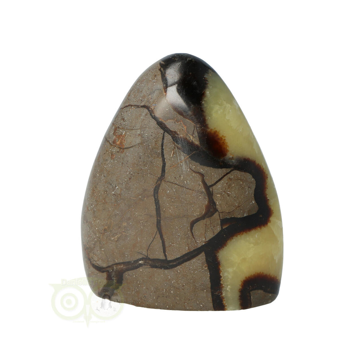 Septarie sculptuur 290 gram