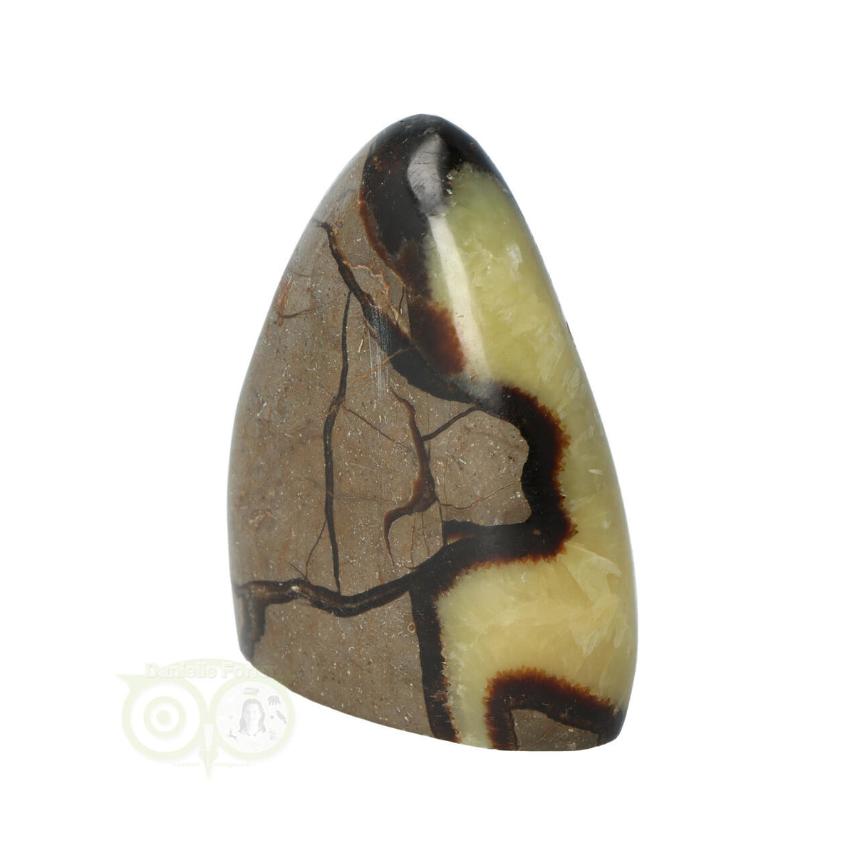 Septarie sculptuur 290 gram